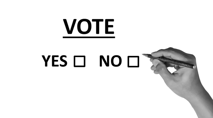 temele pentru referendum